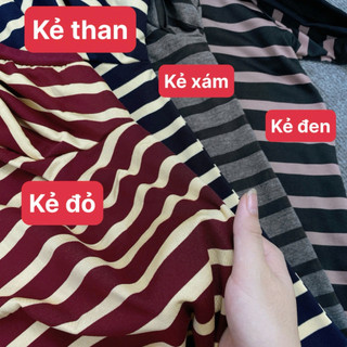 Áo Thun Kẻ Sọc Bigsize Nữ Kẻ Sọc Basic Phong Cách Trẻ Trung Năng Động Cho Chubby 50-92kg A308