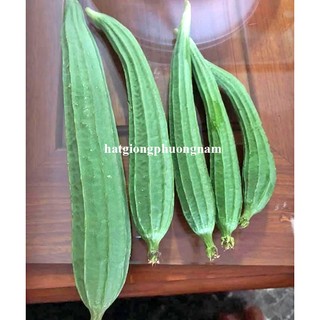 1 Gram - Hạt Giống Mướp Khía Phương Nam