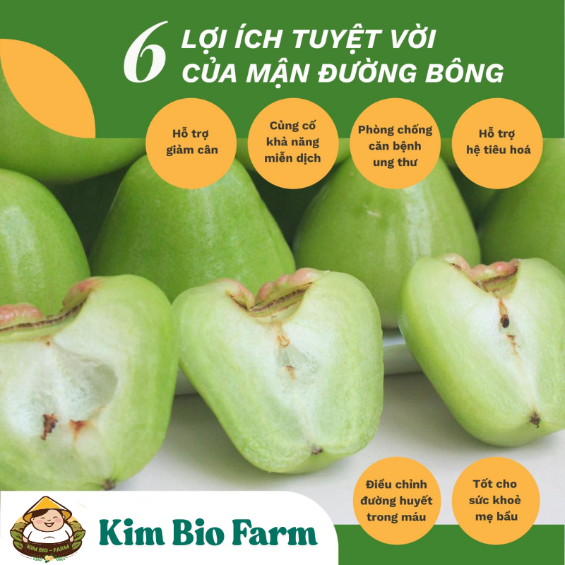 Cây Giống Mận Xanh Đường Sóc Trăng (Cây Roi Xanh Đường) -  Dễ Trồng, Nhanh Ra Trái, Ngọt Thanh