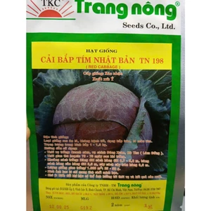 HẠT GIỐNG BẮP CẢI TÍM NHẬT BẢN TN 198 - loại RAU SIÊU DINH DƯỠNG và lợi ích sức khỏe bạn cần biết