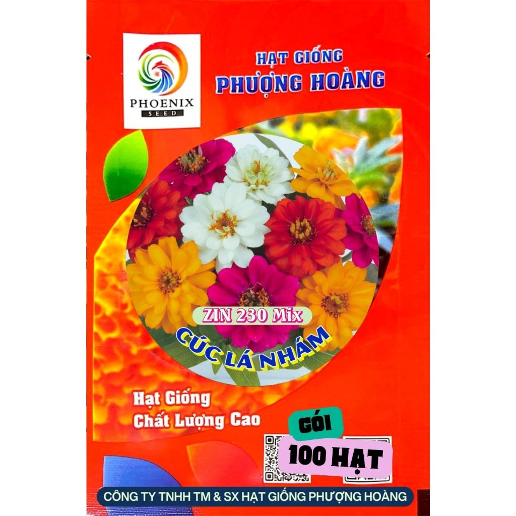 Hạt Giống Hoa Cúc Lá Nhám Bán Kép ZIN230Mix Phượng Hoàng