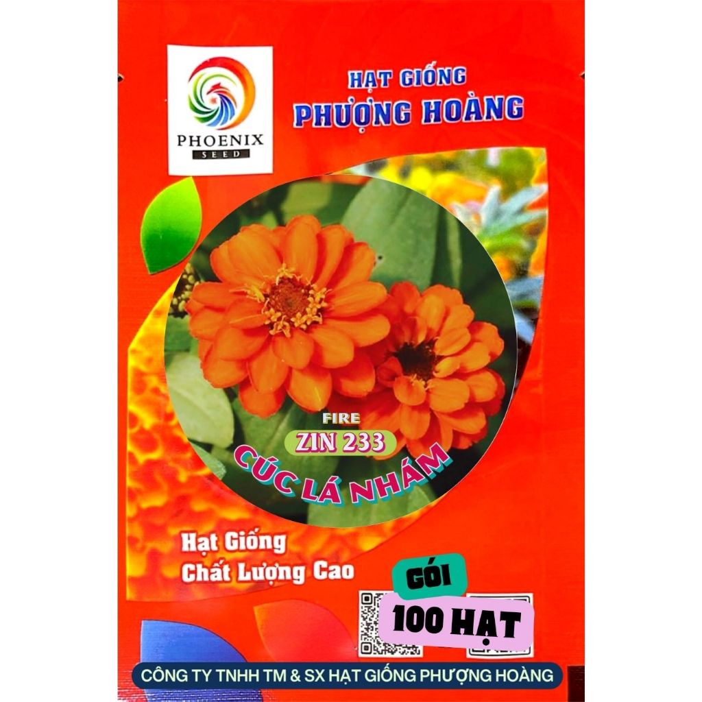 Hạt Giống Hoa Cúc Lá Nhám Bán Kép ZIN233 Fire Hạt Giống Phượng Hoàng