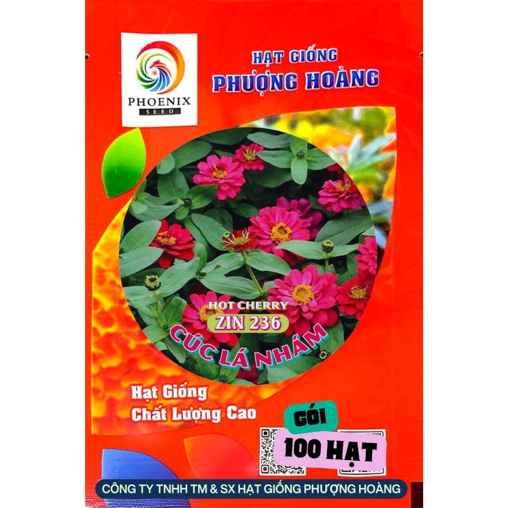 Hạt Giống Hoa Cúc Lá Nhám Bán Kép ZIN236 Hot cherry Hạt Giống Phượng Hoàng