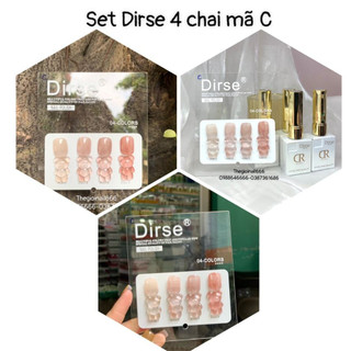 Set Sơn Thạch 4 Chai DIRSE 15ml Tone C