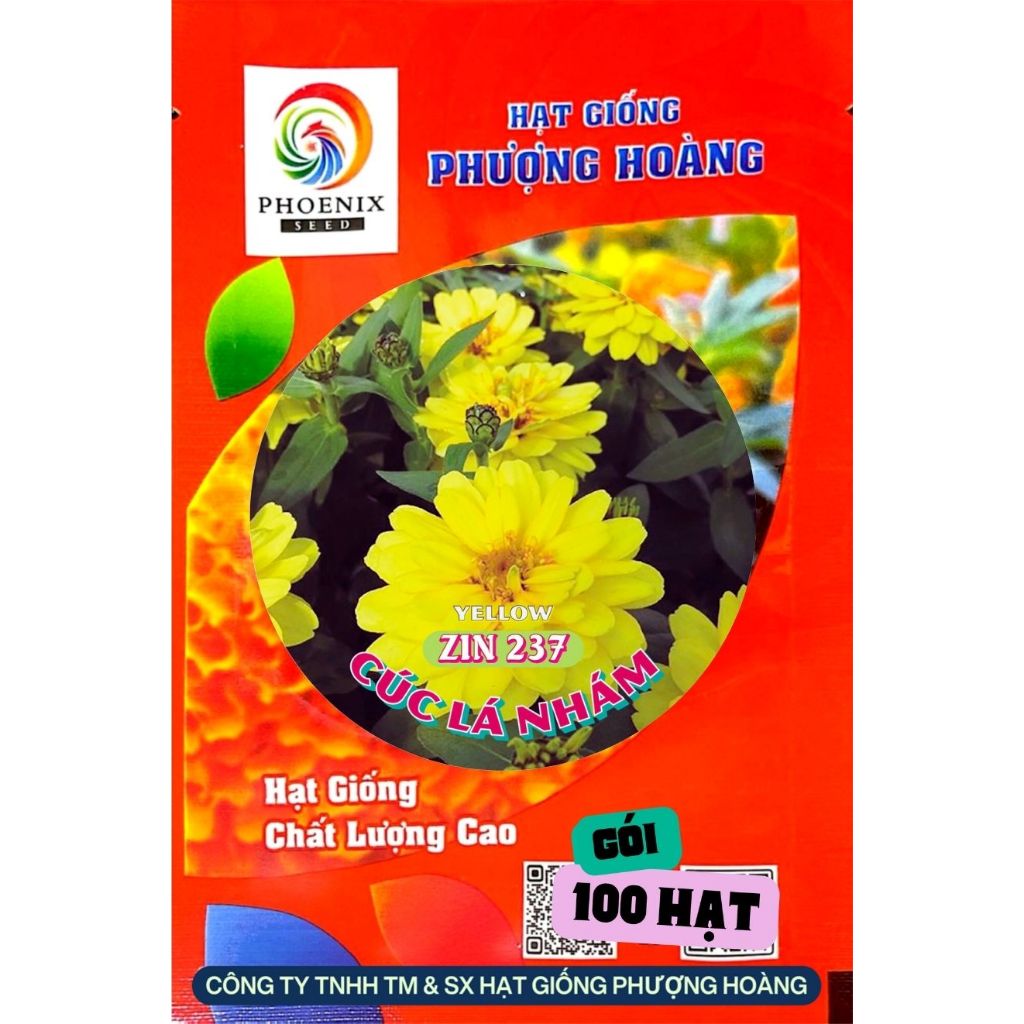 Hạt Giống Hoa Cúc Lá Nhám Bán Kép ZIN237 Yellow Hạt Giống Phượng Hoàng