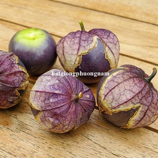 20 Hạt - Hạt Giống Thù Lù Tím F1 Phương Nam