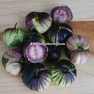 20 Hạt - Hạt Giống Thù Lù Tím F1 Phương Nam