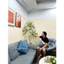 cây nam thiên trúc 1m65/1m8 - cây giả trang trí