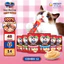 48 Thanh Súp thưởng Silver Spoon cho mèo (14g/thanh) - 6 Vị Thơm Ngon