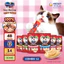 48 Thanh Súp thưởng Silver Spoon cho mèo (14g/thanh) - 6 Vị Thơm Ngon