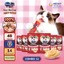 48 Thanh Súp thưởng Silver Spoon cho mèo (14g/thanh) - 6 Vị Thơm Ngon