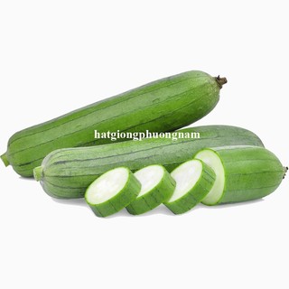 10 Hạt - Hạt Giống Mướp Baby Xanh Siêu Quả F1 Thái