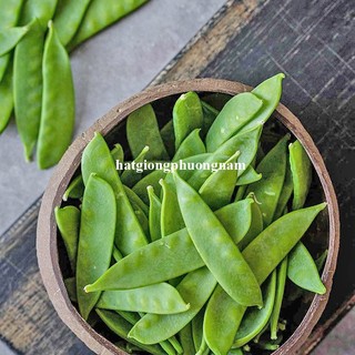 10 Gram - Hạt Giống Đậu Hà Lan Ăn Quả Phương Nam