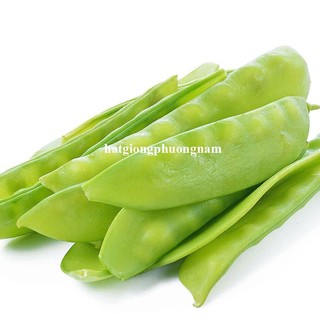 10 Gram - Hạt Giống Đậu Hà Lan Ăn Quả Phương Nam