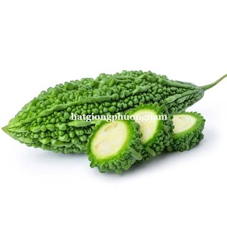 10 Hạt - Hạt Giống Khổ Qua Gai Xanh Phương Nam