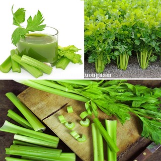 3 Gram - Hạt Giống  Cần Tây Phương Nam