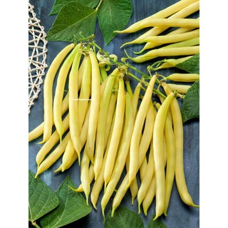 5 Gram - Hạt Giống Đậu Cove Vàng Phương Nam