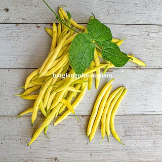 5 Gram - Hạt Giống Đậu Cove Vàng Phương Nam
