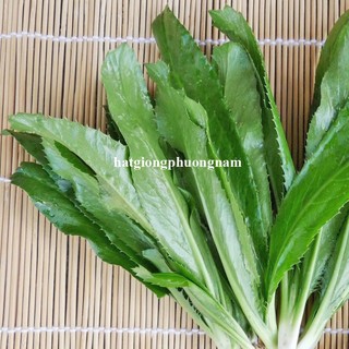 5 Gram - Hạt Giống Ngò Gai Phương Nam