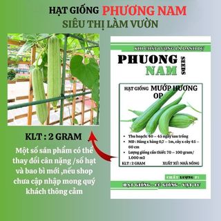 2 Gram - Hạt Giống Mướp Hương  Phương Nam