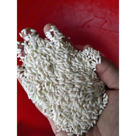 Nếp Cái Hoa Vàng ( Nếp Bắc ) - Nếp Ngỗng túi 1 Kg