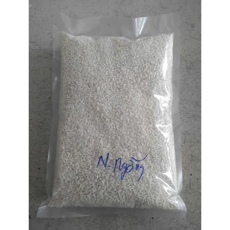Nếp Cái Hoa Vàng ( Nếp Bắc ) - Nếp Ngỗng túi 1 Kg