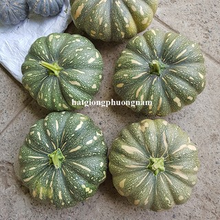 10 Hạt - Hạt Giống Bí Đỏ Trái Tròn Phương Nam