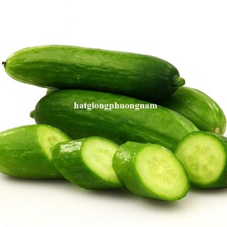 10 Hạt - Hạt Giống Dưa Leo Không Hạt Trái Ngắn Phương Nam