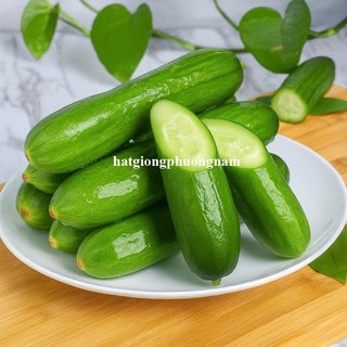 10 Hạt - Hạt Giống Dưa Leo Không Hạt Trái Ngắn Phương Nam