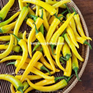 20 Hạt - Hạt Giống Ớt Sừng Vàng Phương Nam