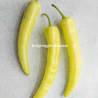 20 Hạt - Hạt Giống Ớt Sừng Vàng Phương Nam