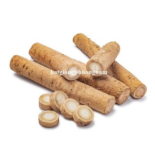 10 Hạt - Hạt Giống  Ngưu Bàng Phương Nam