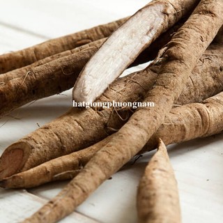10 Hạt - Hạt Giống  Ngưu Bàng Phương Nam