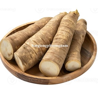 10 Hạt - Hạt Giống  Ngưu Bàng Phương Nam