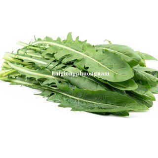 0.5 Gram - Hạt Giống Bồ Công Anh Ý Phương Nam