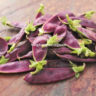20 Hạt - Hạt Giống Đậu Hà Lan Tím Ăn Hạt / Ăn Quả Phương Nam