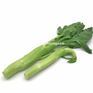 5 Gram - Hạt Giống Cải Ngồng Làn Khổng Lồ Phương Nam