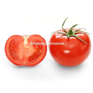 0,5 Gram - Hạt Giống Cà Chua Đỏ Quả To Phương Nam