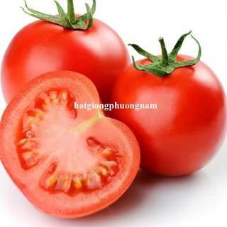 0,5 Gram - Hạt Giống Cà Chua Đỏ Quả To Phương Nam