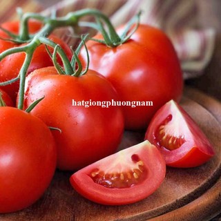 0,5 Gram - Hạt Giống Cà Chua Đỏ Quả To Phương Nam