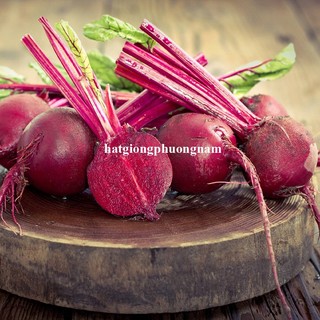 5 Gram - Hạt Giống Củ Dền Đỏ Phương Nam