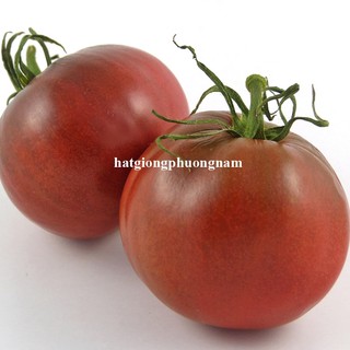 20 Hạt - Hạt Giống Cà Chua Chocolate Phương Nam