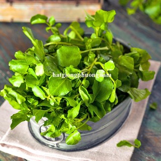 0.5 Gram - Hạt Giống  Xà Lách Xoong Phương Nam