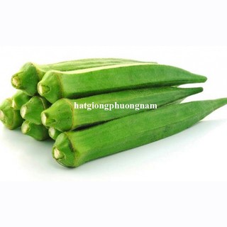 10 Gram - Hạt Giống Đậu Bắp Xanh Siêu Lùn Phương Nam