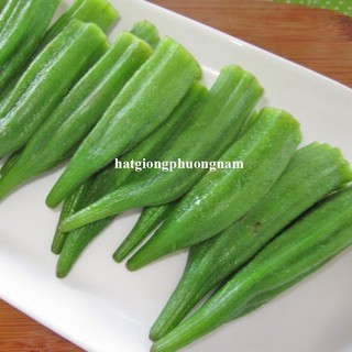 10 Gram - Hạt Giống Đậu Bắp Xanh Siêu Lùn Phương Nam