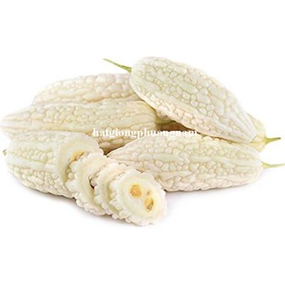 10 Hạt - Hạt Giống Khổ Qua Trắng Phương Nam