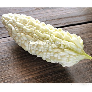 10 Hạt - Hạt Giống Khổ Qua Trắng Phương Nam