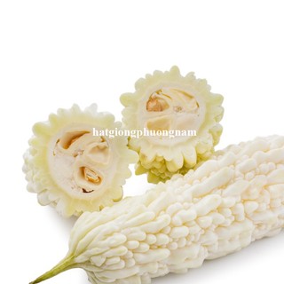 10 Hạt - Hạt Giống Khổ Qua Trắng Phương Nam