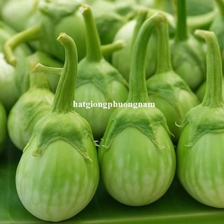 50 Hạt - Hạt Giống Cà Mỡ Ngọt Chiêng Mai F1 Phương Nam