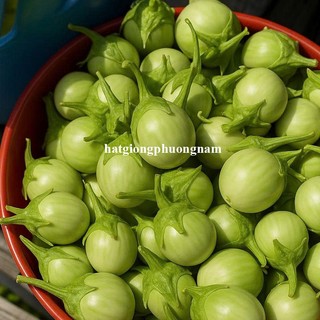 50 Hạt - Hạt Giống Cà Mỡ Ngọt Chiêng Mai F1 Phương Nam